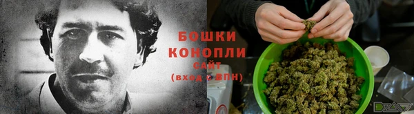 стаф Беломорск