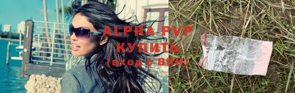 дживик Богородицк