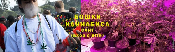 ГАЛЛЮЦИНОГЕННЫЕ ГРИБЫ Балабаново