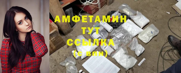 ГАЛЛЮЦИНОГЕННЫЕ ГРИБЫ Балабаново