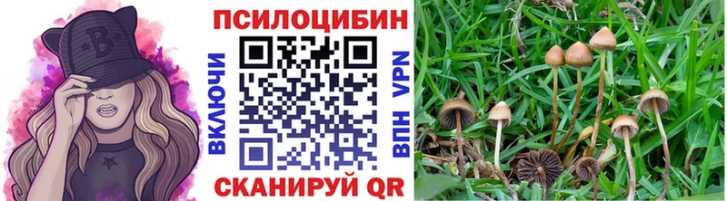 купить наркотики цена  Барабинск  Псилоцибиновые грибы прущие грибы 